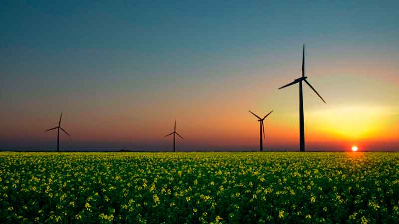 España es el séptimo productor mundial de energía eólica y el octavo en solar