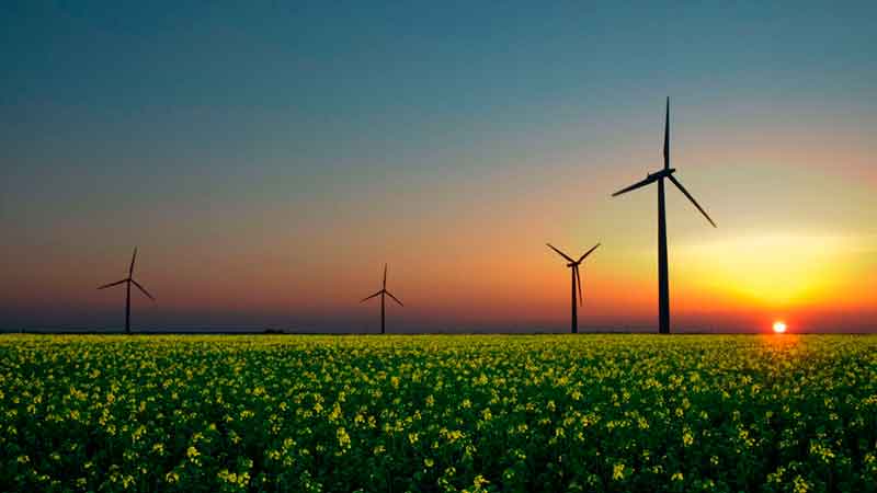 España es el séptimo productor mundial de energía eólica y el octavo en solar